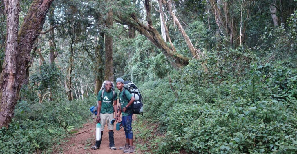 7 days lemosho route