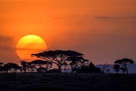 things-to-do-in-tanzania