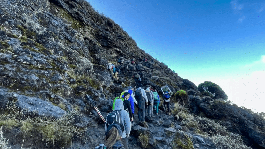 Are There Age Restrictions for Climbing Kilimanjaro and Reaching Uhuru Peak