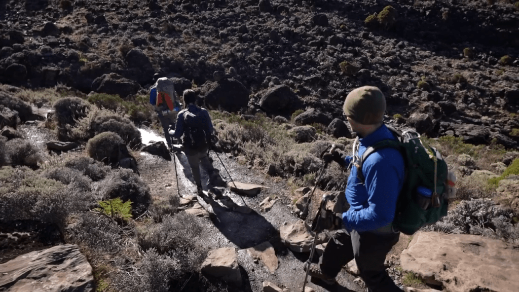Are There Any Exceptions to the Requirement of Hiring a Guide?