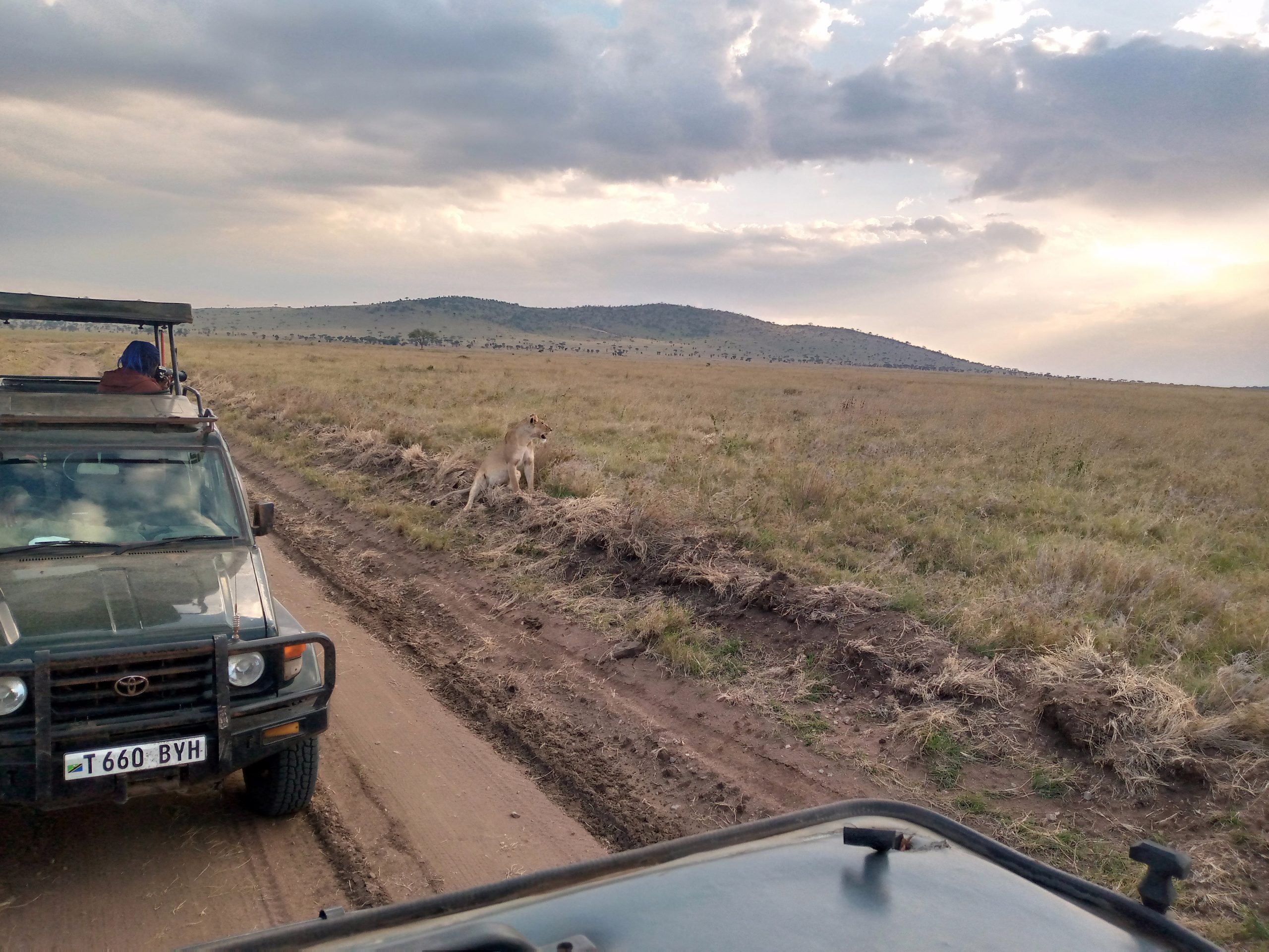 2 Days Safari to Tarangire National Park & Ngorongoro Crater