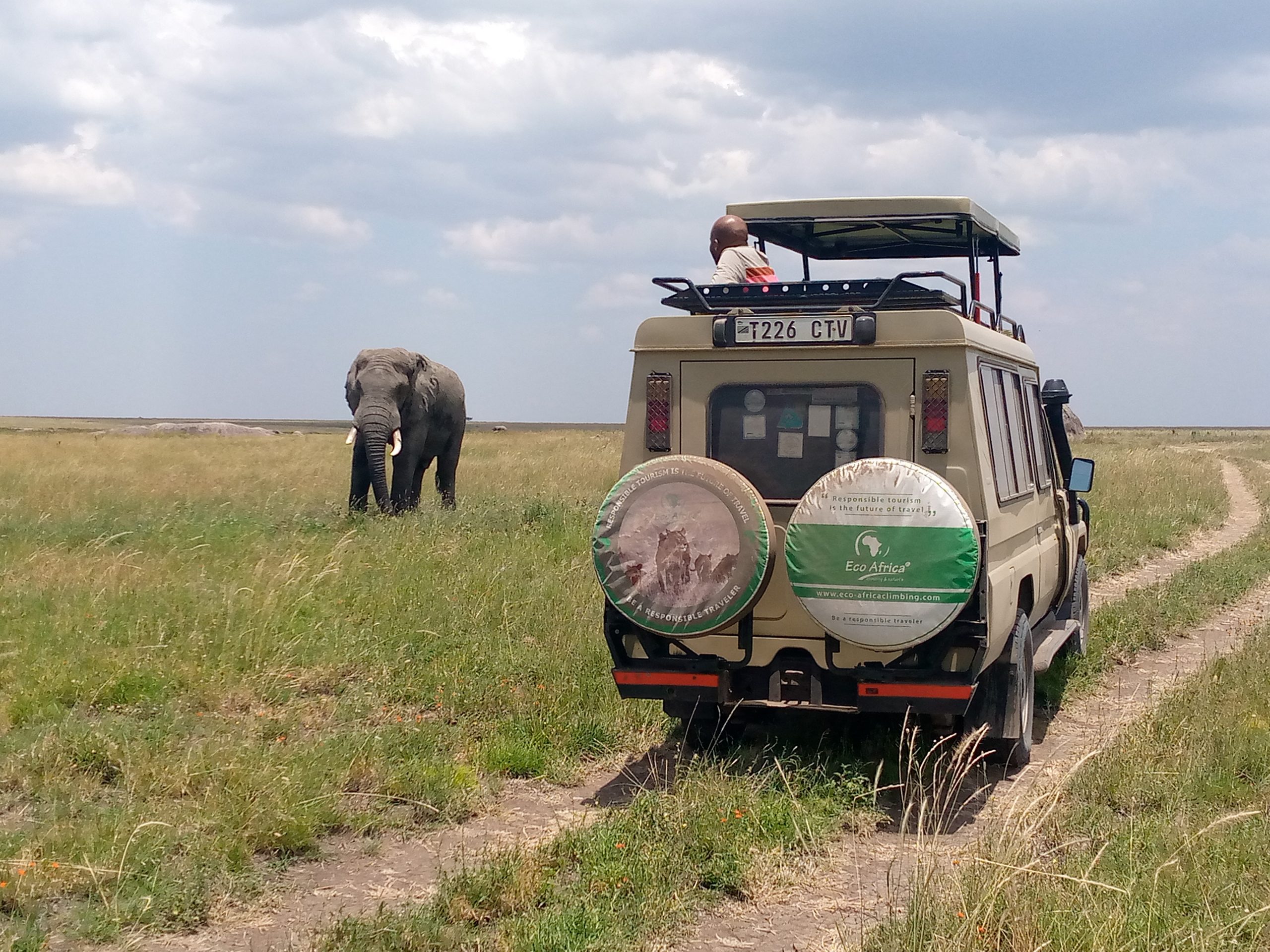 5 days Tented  Lodge Safari to  Serengeti, Ngorongoro Crater,Manyara and Tarangire