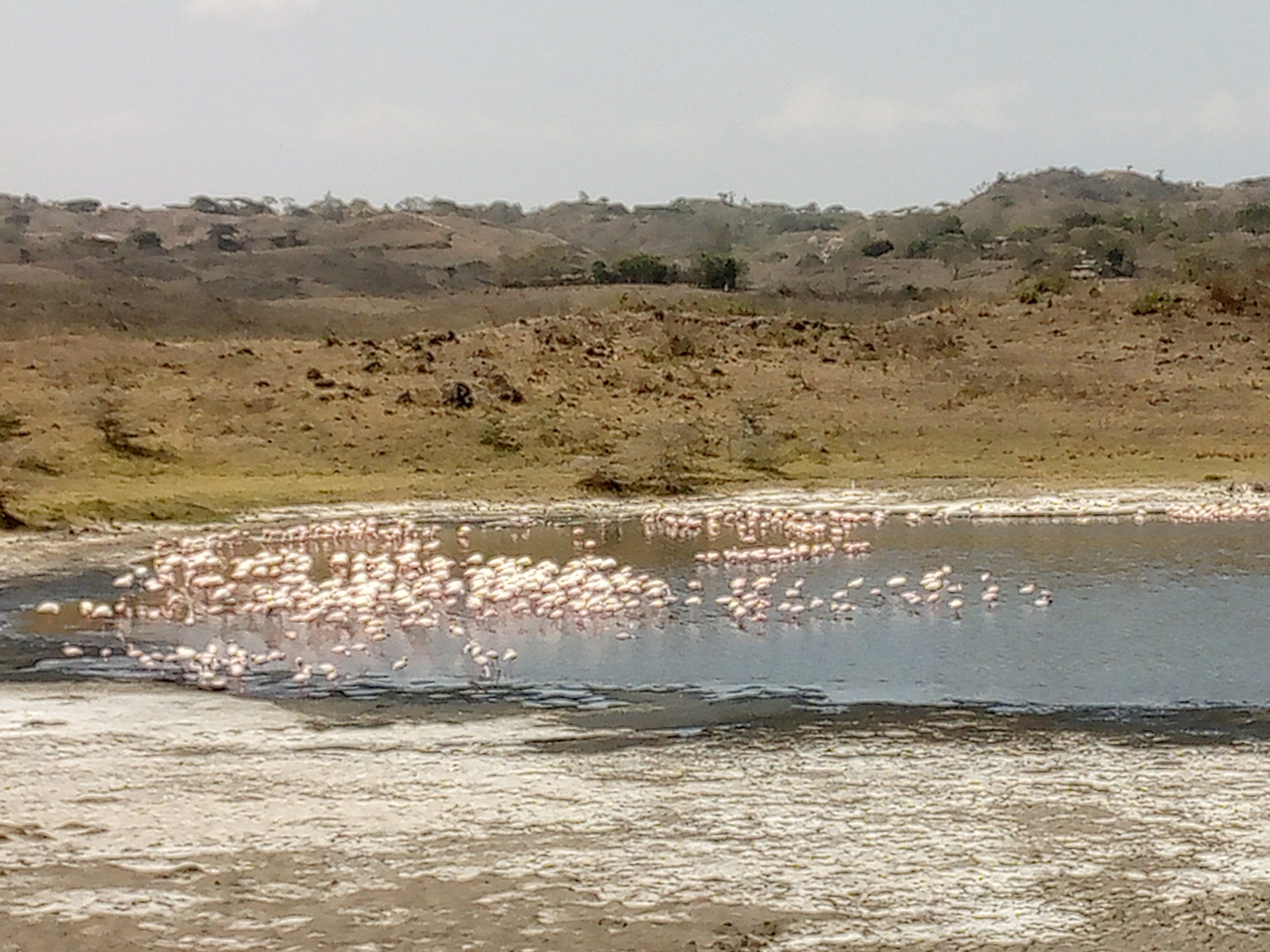3 Days Safari to Tarangire National Park & Ngorongoro Crater