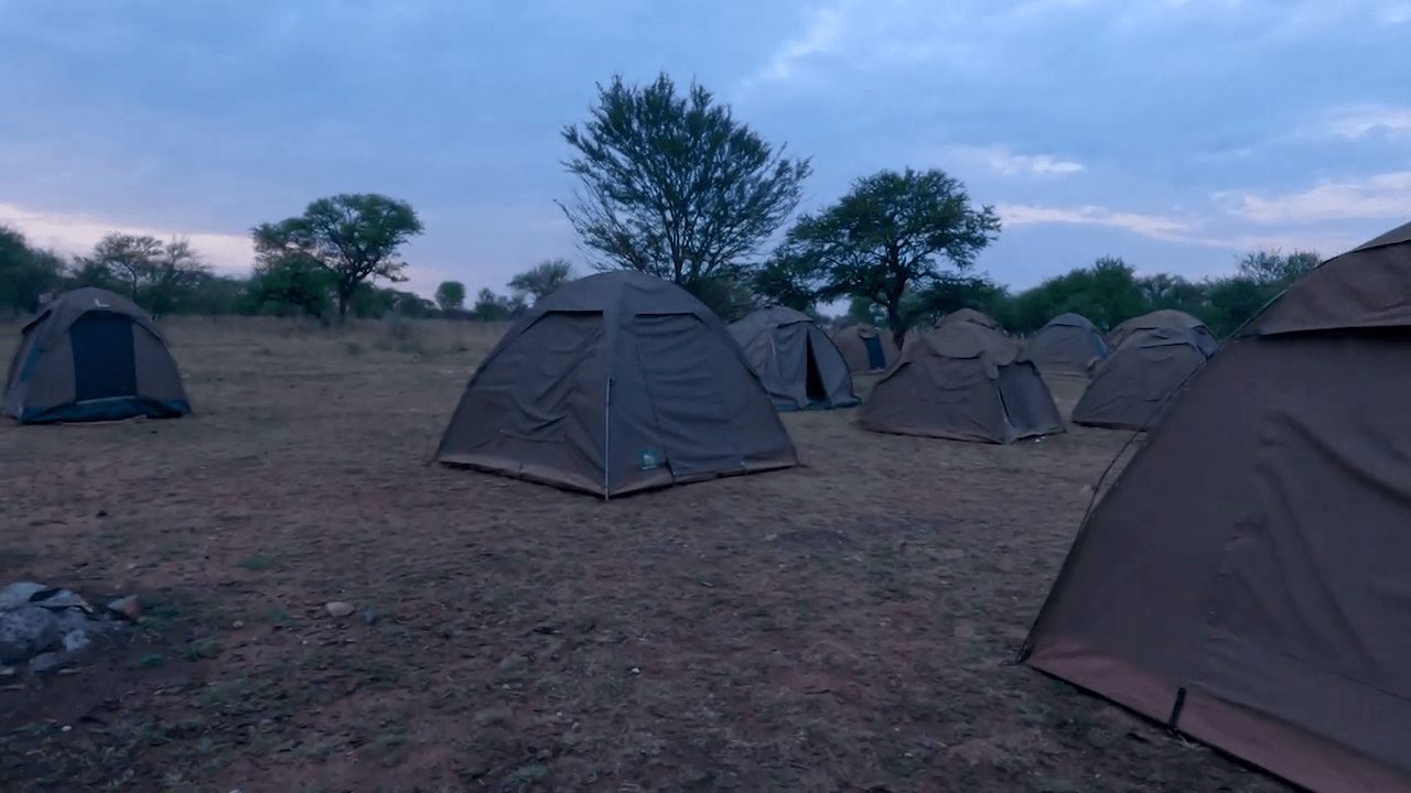 Camping Safari