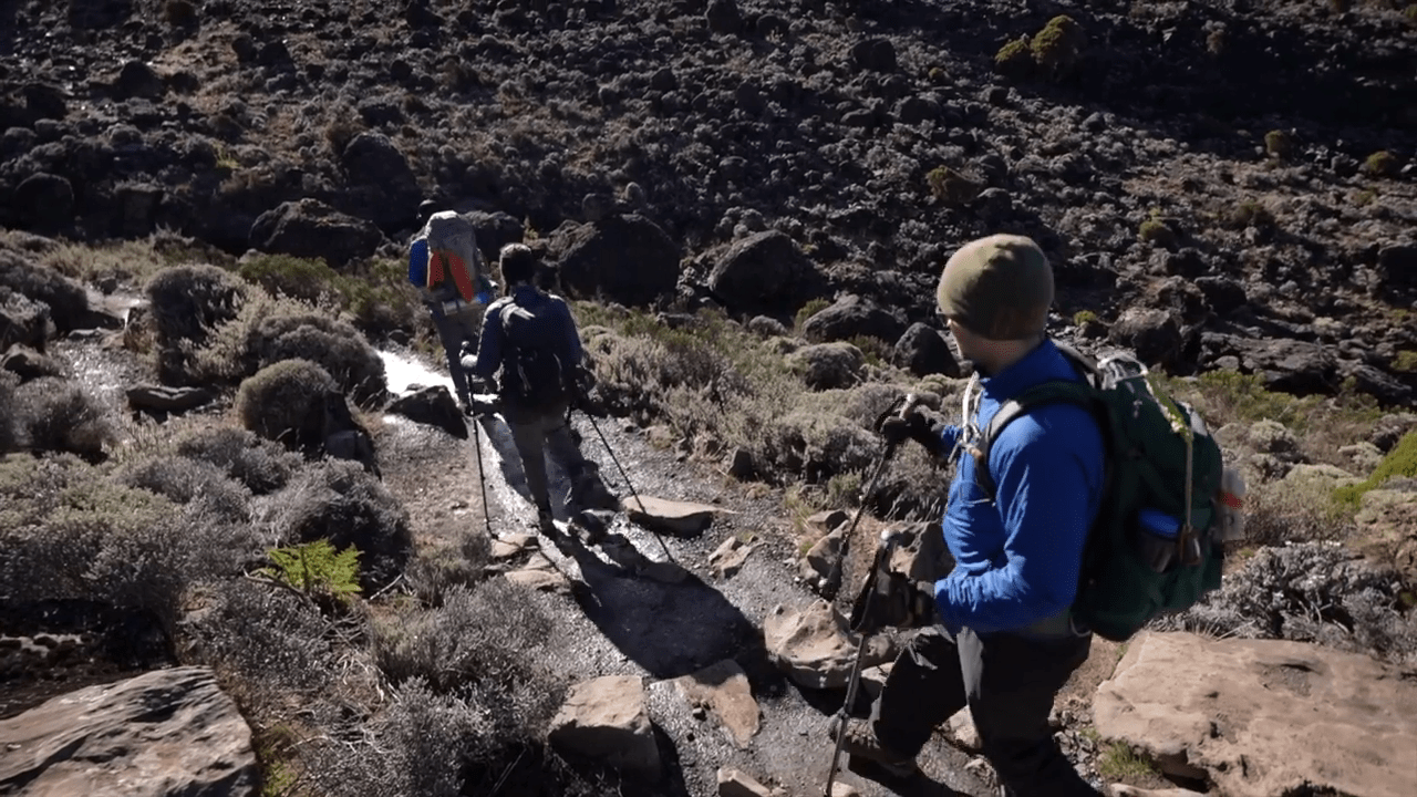 Are There Any Exceptions to the Requirement of Hiring a Guide?