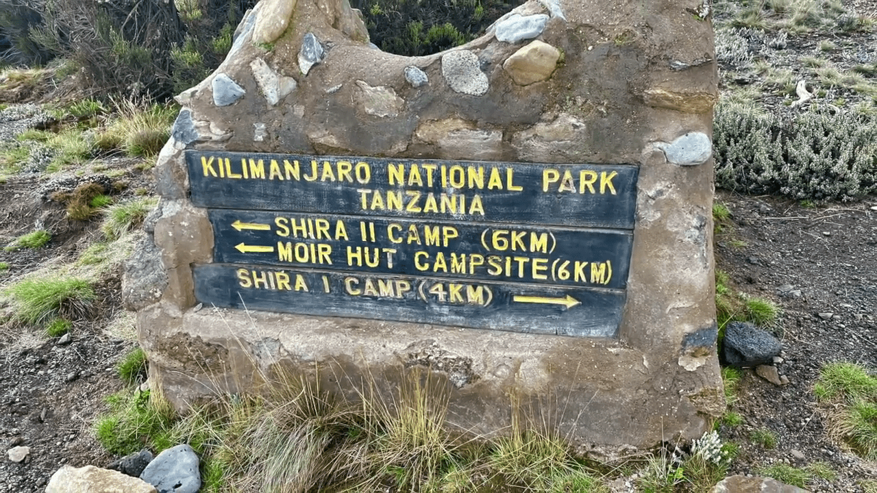 How Can I Ensure I Hire a Licensed and Reputable Guide for Climbing Kilimanjaro